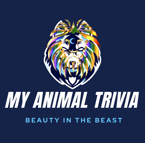 My Animal Trivia logo