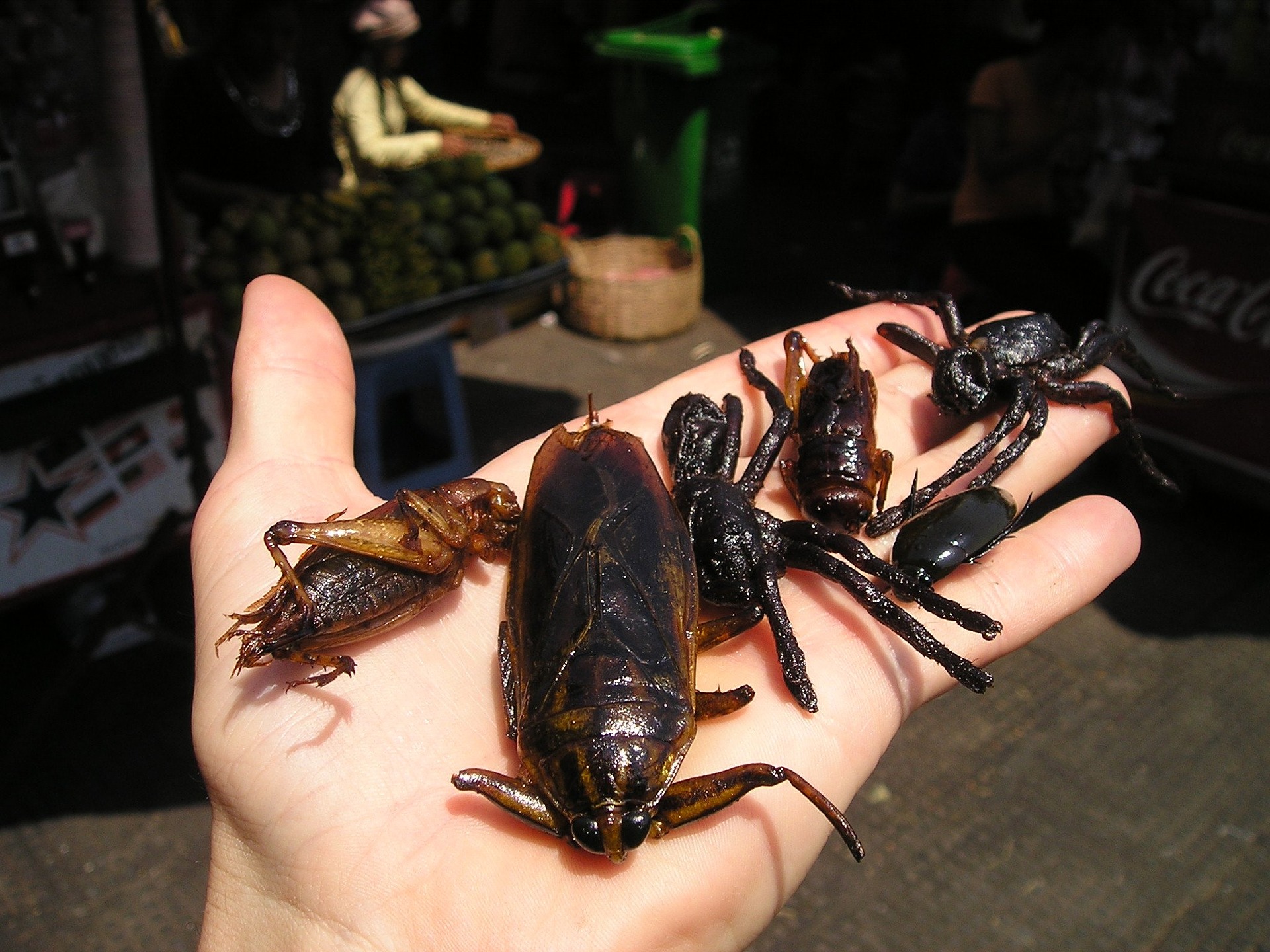 insect-market-440_1920 insect-market-440_1920